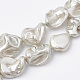 Shell Pearl Beads Strands X-BSHE-Q031-15G-1