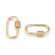Brass Micro Pave Clear Cubic Zirconia Screw Carabiner Lock Charms ZIRC-T010-10G-2