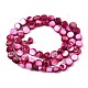 Natural Freshwater Shell Beads Strands SHEL-S276-110A-05-2