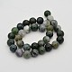 Natural Moss Agate Round Bead Strands G-J276-21-12mm-2
