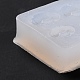 Ciondoli fai da te stampi in silicone DIY-Z010-11-3