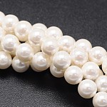 Chapelets de perles de coquille, ronde, blanc, 4mm, Trou: 0.8mm, Environ 87 pcs/chapelet, 15 pouce