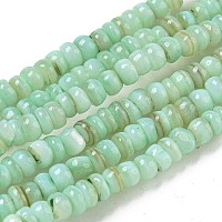 Tinti d'acqua dolce naturale perline shell fili&nbsp;X1-BSHE-G039-07E