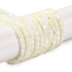 Hebras de cuentas de concha de trochus natural, columna, blanqueador, blanco, 3.5x3.5mm, agujero: 0.7 mm, aproximamente 114 pcs / cadena, 15.16'' (38.5 cm)