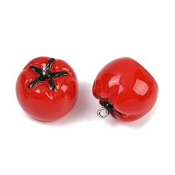 Подвески из непрозрачной смолы RESI-S025-01P