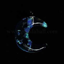 Leuchtende transparente Harzanhänger&nbsp;RESI-WH0081-01D