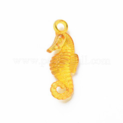 Прозрачные акриловые подвески&nbsp;MACR-N013-042