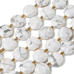 Природные Говлит бисер нитей&nbsp;G-A292-A03-01