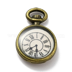 Подвески из эмали и сплава FIND-G020-A01-AB