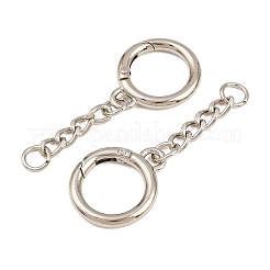 Torringe aus Zinklegierung und Eisenfeder&nbsp;AL-CBAC079-01P
