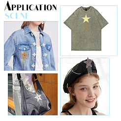 6 шт. 6-х стилистические стразы из смолы горячей фиксации (клей-расплав на обратной стороне) DIY-PH0006-99