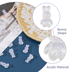 60 шт. Прозрачные акриловые бусины OACR-FH0001-053