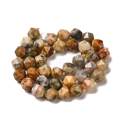 Природные сумасшедший агат бисер нитей G-K382-A18-03
