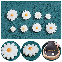 24шт 4 стиля натуральные бусины из пресноводных ракушек SHEL-NB0001-60