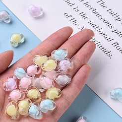 Прозрачные акриловые бусины TACR-S152-08A