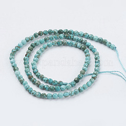 Fili di perline di magnesite naturale&nbsp;TURQ-L028-03-3mm