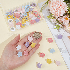 48 punaise en plastique transparent en forme d'étoile (6 styles différents)&nbsp;AJEW-ME00019
