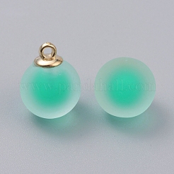 Матовые прозрачные акриловые подвески&nbsp;GLAA-TAC0002-F11