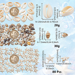 Decorazioni espositive di conchiglie naturali e conchiglie di ciprea&nbsp;DJEW-NB0001-53
