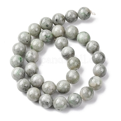 Природные китайский нефрит бисер пряди&nbsp;G-H343-D08-12mm