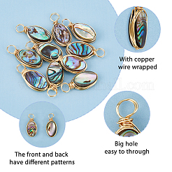 10 шт. PALLOY-FI00001