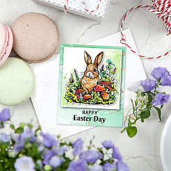 ПВХ пластиковые прозрачные штампы DIY-WH0448-0467