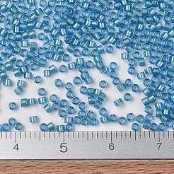 Perles miyuki delica&nbsp;X-SEED-J020-DB1709