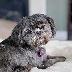 30шт 10 цвета алюминиевые заготовки подвески ALUM-FH0001-06