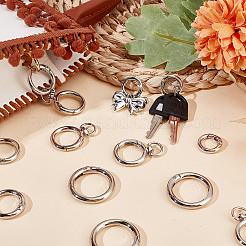16шт 4 стиля сплава пружинное кольцо ворот&nbsp;FIND-DR0001-69P