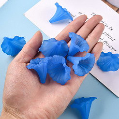 Прозрачные акриловые бусины BSF796-C05