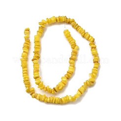 Бусины из натуральных пресноводных ракушек&nbsp;SHEL-B003-01A