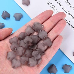 Прозрачные акриловые бусины MACR-S373-106-D02