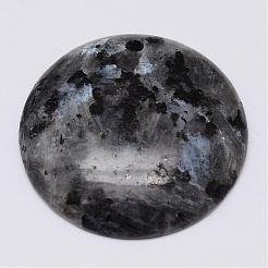 Природные подвески лабрадорита&nbsp;G-G647-46