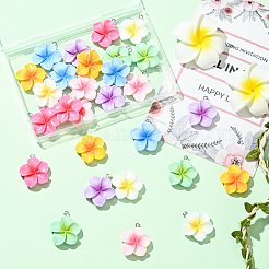 28 шт. 7 цвета непрозрачные подвески из смолы&nbsp;FIND-SC0019-46