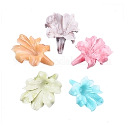 Синтетических коралловых бусин CORA-S027-35