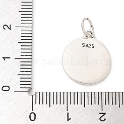 Pendentifs en 925 argent sterling&nbsp;STER-R008-04AS-05