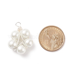 Стеклянные жемчужные подвески&nbsp;PALLOY-JF01542-02