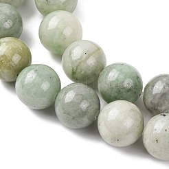 Природные китайский нефрит бисер пряди&nbsp;G-A310-A02-16mm