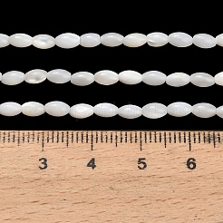 Natürlichen Süßwasser-Muschelperlen Stränge&nbsp;SHEL-C010-03B