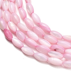 Eau douce naturelle de coquillage perles brins&nbsp;X-SHEL-C010-01E