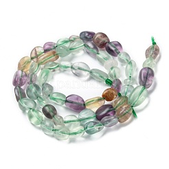 Природного флюорита бисер нитей G-G018-62B