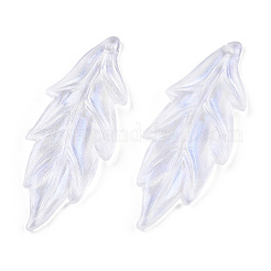 Прозрачные акриловые подвески&nbsp;OACR-T003-47