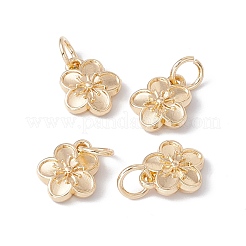 Наберешь металлизации сплава шармов FIND-G036-02LG