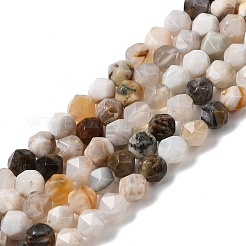 Природные бамбуковых листьев агат бисер нитей G-Z119-A27-01