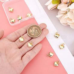 Латунные подвески с покрытием 10шт&nbsp;KK-PH0013-16