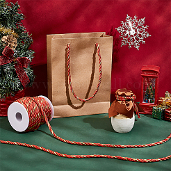 3-слойный витой шнур из полиэстера OCOR-WH0063-42O