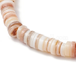 Браслеты из натуральных пресноводных ракушек в форме диска для мужчин и женщин BJEW-JB11747