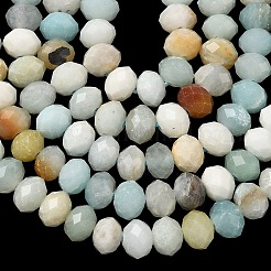 Нити из натуральных цветочных бусин амазонита G-D344-A35