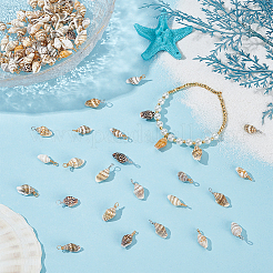 120шт 2 цвета подвески из натуральных ракушек FIND-ME0002-50