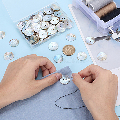 100 Stück natürliche Muschelknöpfe&nbsp;BUTT-PH0001-72